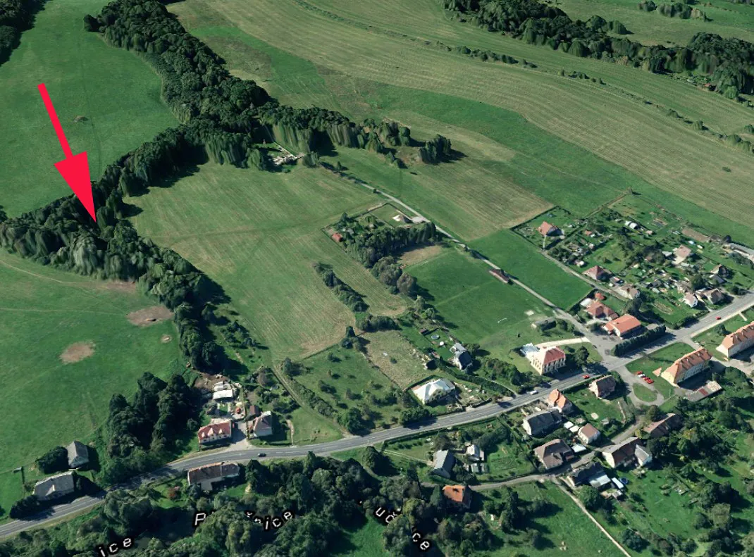 Prodej lesa 2484 m²